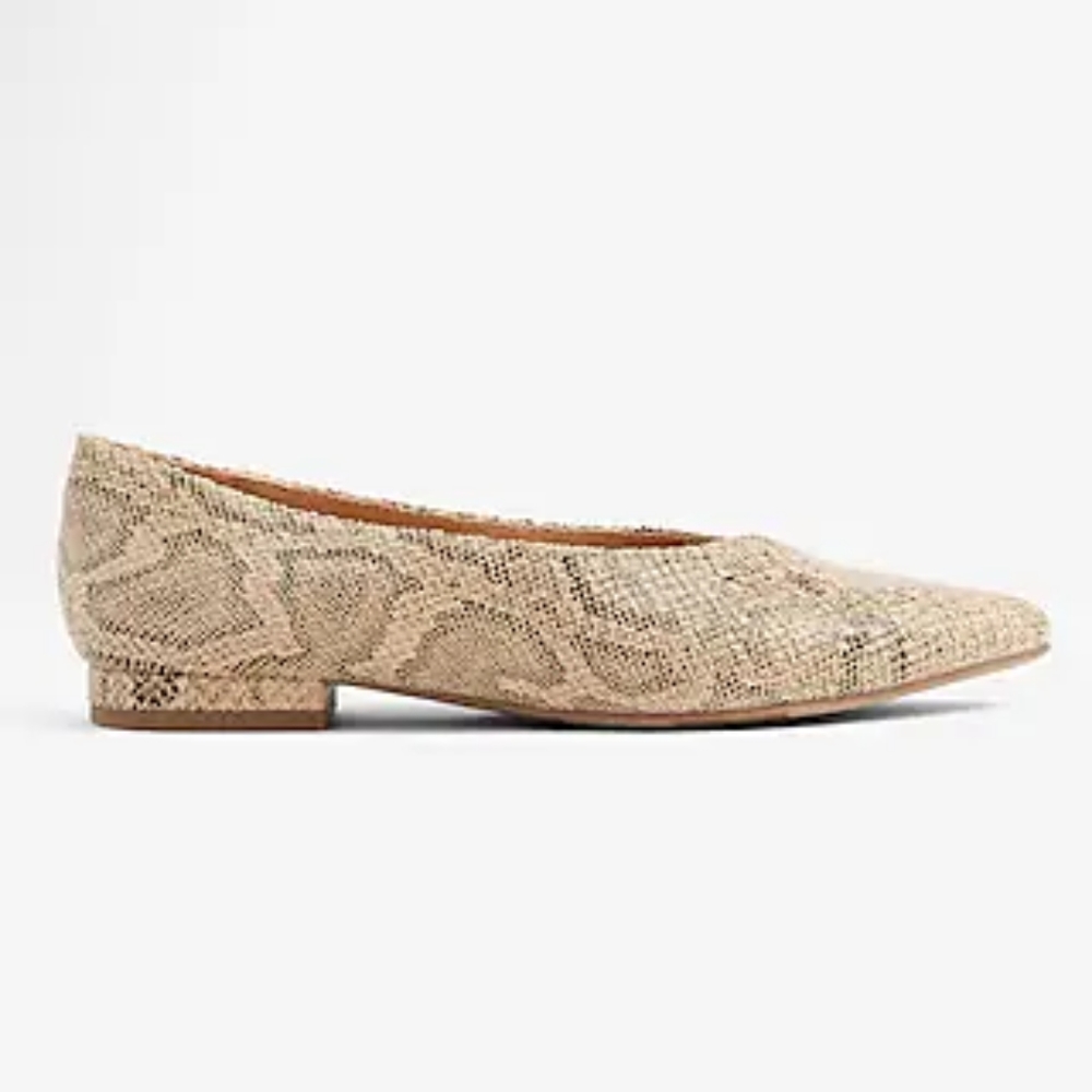 Snakeskin Pointed Toe Ballet Flats